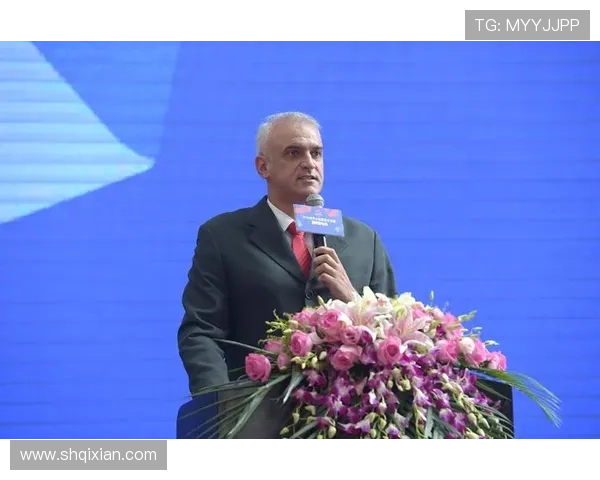 南京排球队心理素质分析与联赛表现的深度探讨