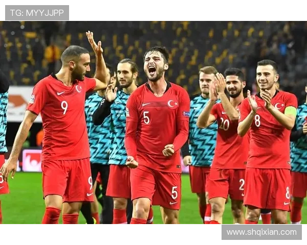 土耳其联赛足球明星阵容全解析及其影响力探讨