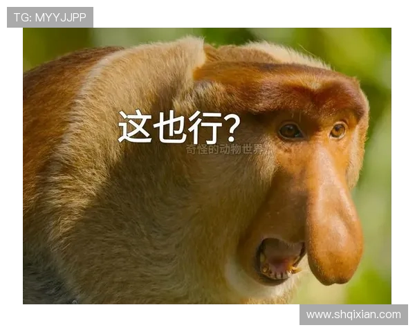 猴子也能踢足球他是被叫猴子的足球明星的传奇故事 猴子也能踢足球他是被叫猴子的足球明星的传奇故事