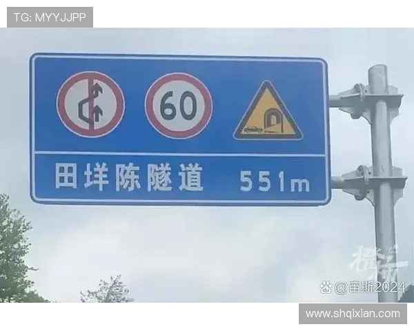 南京网球队速度之争引发热议球迷观点各异引发讨论